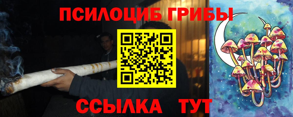 Галлюциногенные грибы прущие грибы Аша