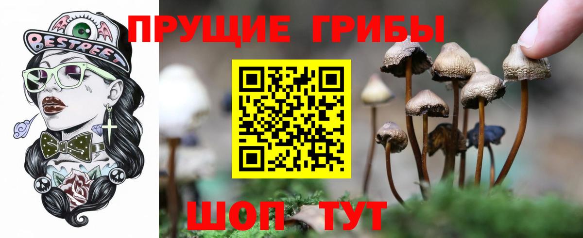 купить наркотик  Псилоцибиновые грибы Cubensis  Вход с VPN  Аша 